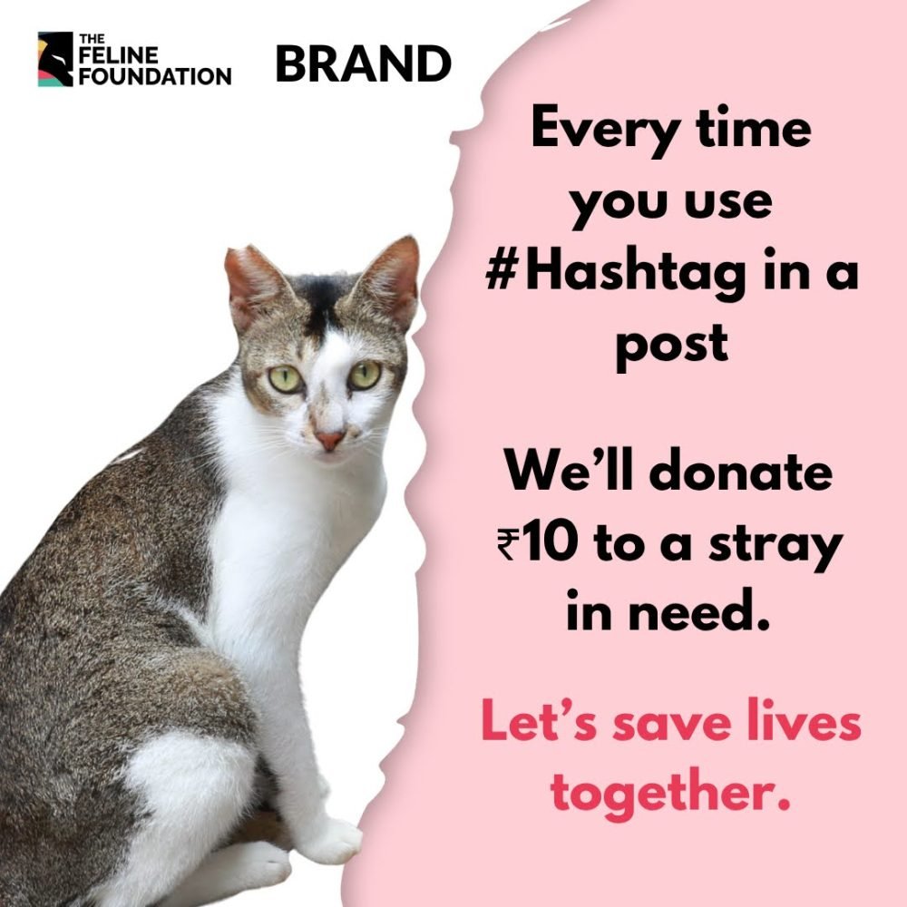 Cause Related Marketing