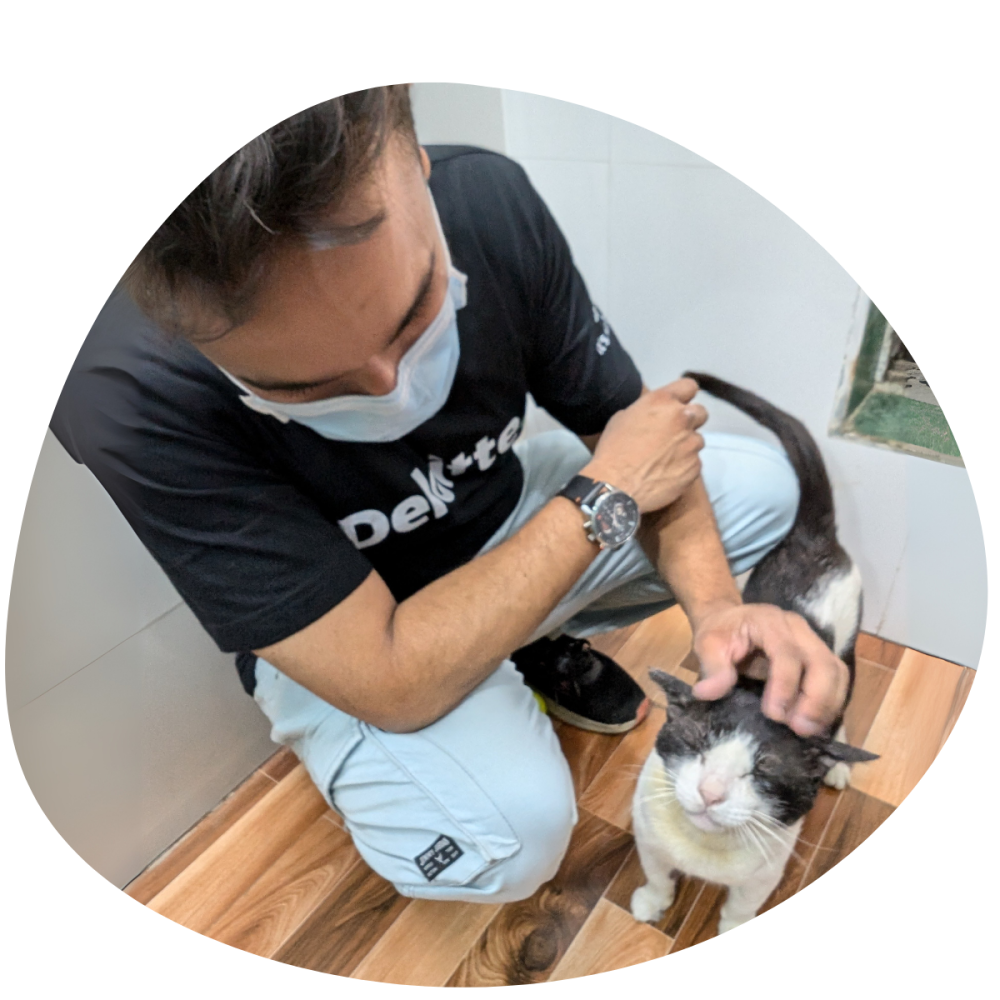 Hero Section - CSR TFF