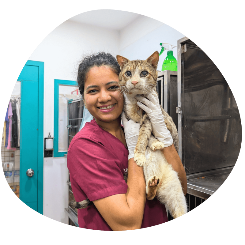 Hero Section - Rehabilisation (1)