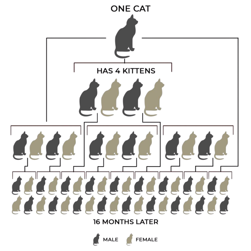 Sterilization problem -1
